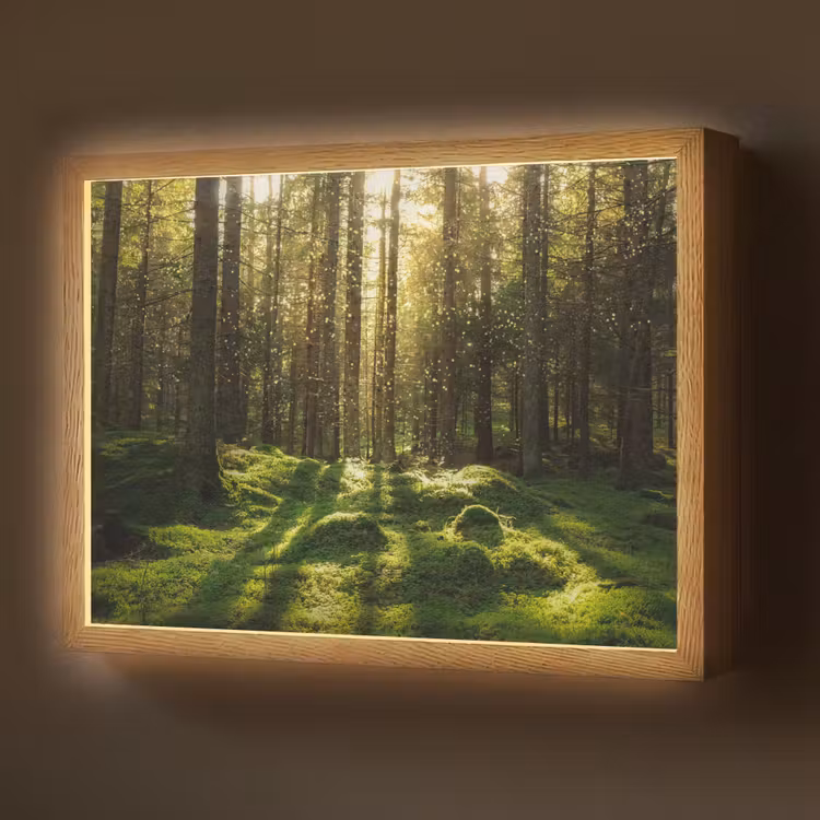Lightbox - Wandlamp - Bomen - Bos - Mos - Planten - Zon - Natuur — 1