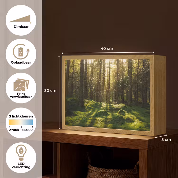 Lightbox - Wandlamp - Bomen - Bos - Mos - Planten - Zon - Natuur — 10