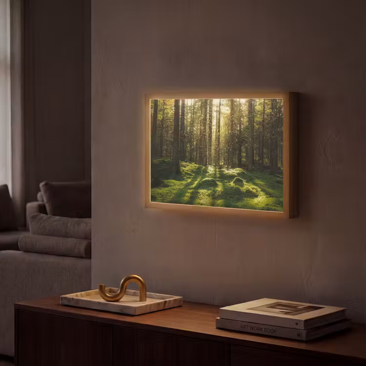 Lightbox - Wandlamp - Bomen - Bos - Mos - Planten - Zon - Natuur — 2