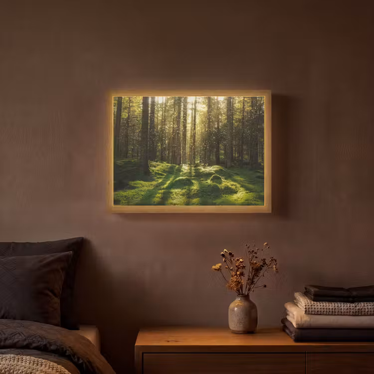 Lightbox - Wandlamp - Bomen - Bos - Mos - Planten - Zon - Natuur — 3