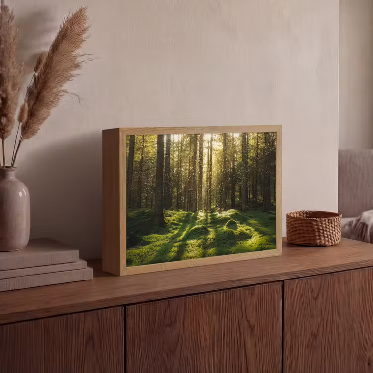 Lightbox - Wandlamp - Bomen - Bos - Mos - Planten - Zon - Natuur — 4