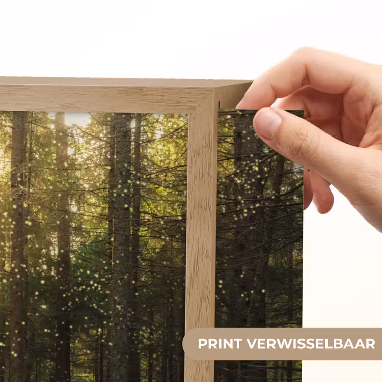Lightbox - Wandlamp - Bomen - Bos - Mos - Planten - Zon - Natuur — 5