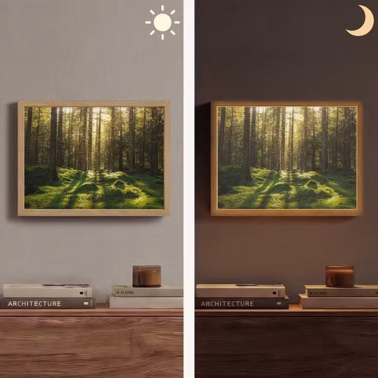 Lightbox - Wandlamp - Bomen - Bos - Mos - Planten - Zon - Natuur — 6
