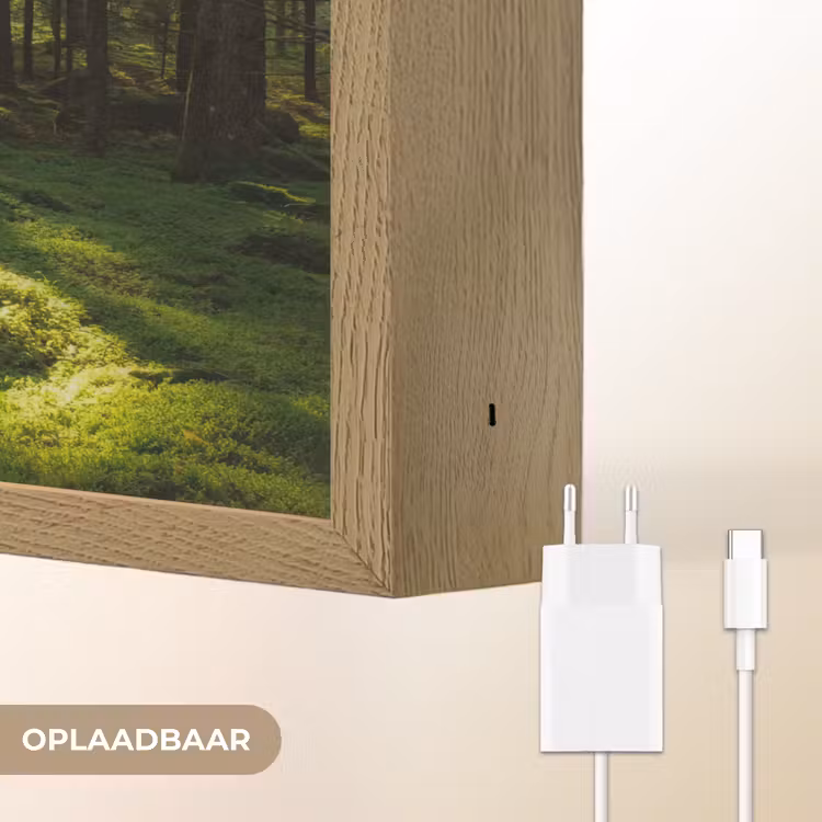 Lightbox - Wandlamp - Bomen - Bos - Mos - Planten - Zon - Natuur — 7