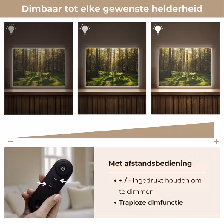 Lightbox - Wandlamp - Bomen - Bos - Mos - Planten - Zon - Natuur — 9