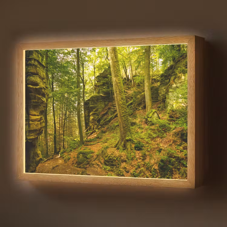 Lightbox - Wandlamp - Bomen - Steen - Bos - Natuur - Planten — 1