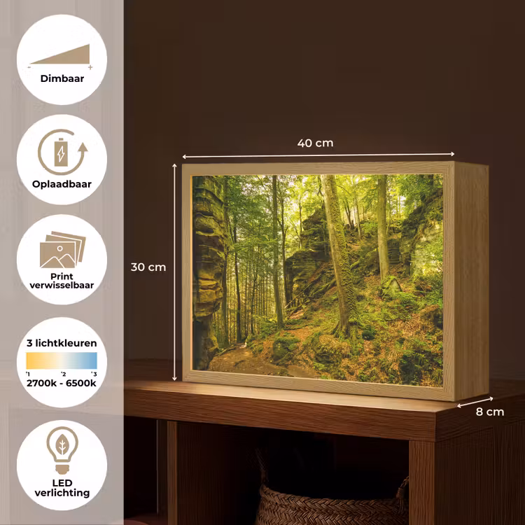 Lightbox - Wandlamp - Bomen - Steen - Bos - Natuur - Planten — 10