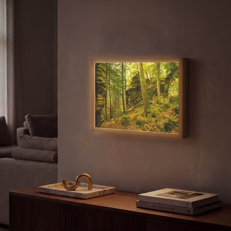 Lightbox - Wandlamp - Bomen - Steen - Bos - Natuur - Planten — 2