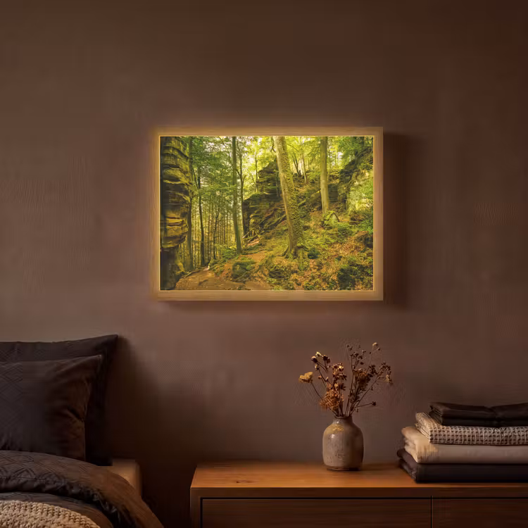 Lightbox - Wandlamp - Bomen - Steen - Bos - Natuur - Planten — 3
