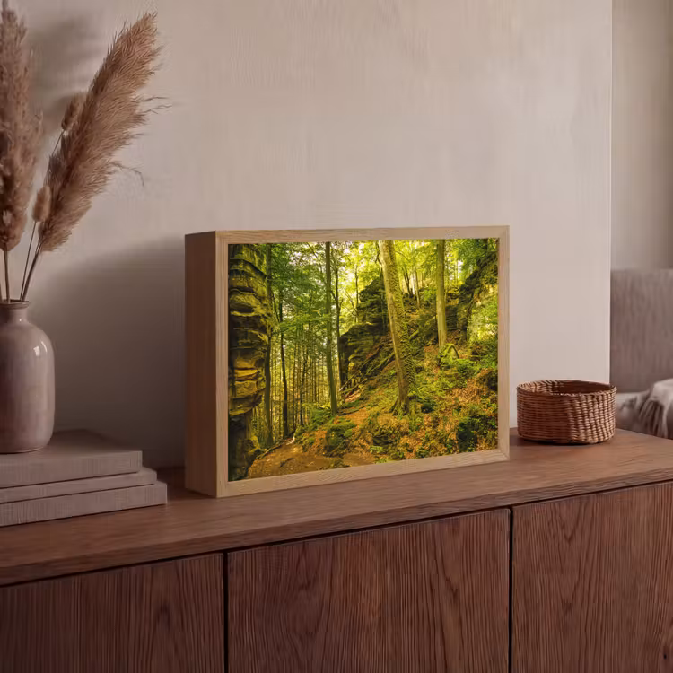 Lightbox - Wandlamp - Bomen - Steen - Bos - Natuur - Planten — 4