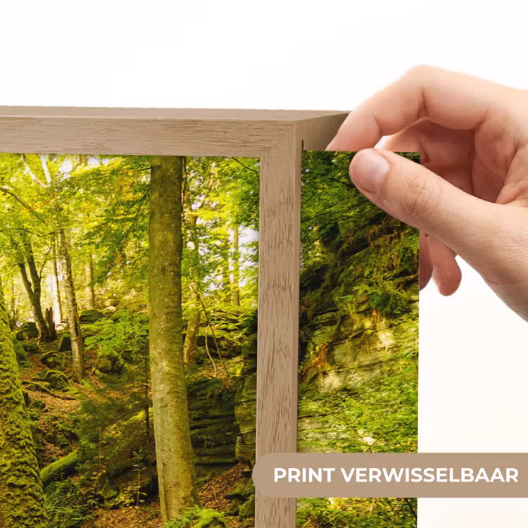 Lightbox - Wandlamp - Bomen - Steen - Bos - Natuur - Planten — 5