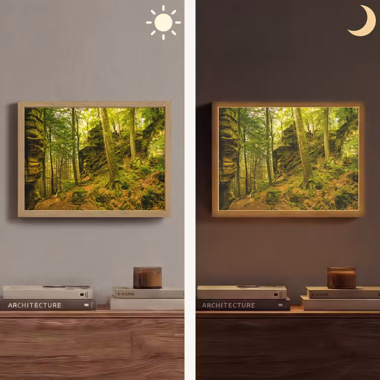 Lightbox - Wandlamp - Bomen - Steen - Bos - Natuur - Planten — 6