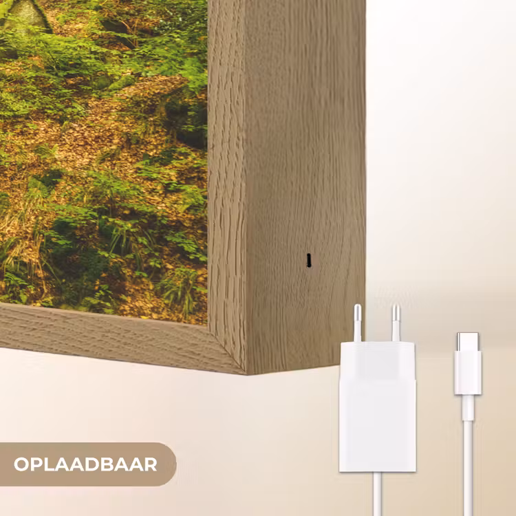 Lightbox - Wandlamp - Bomen - Steen - Bos - Natuur - Planten — 7