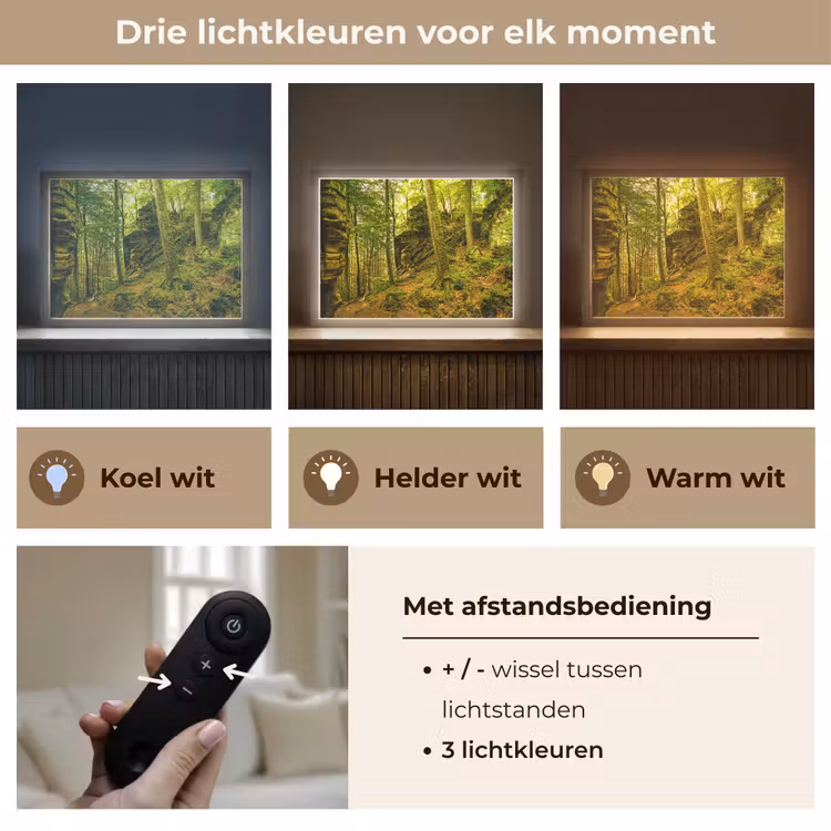 Lightbox - Wandlamp - Bomen - Steen - Bos - Natuur - Planten — 8