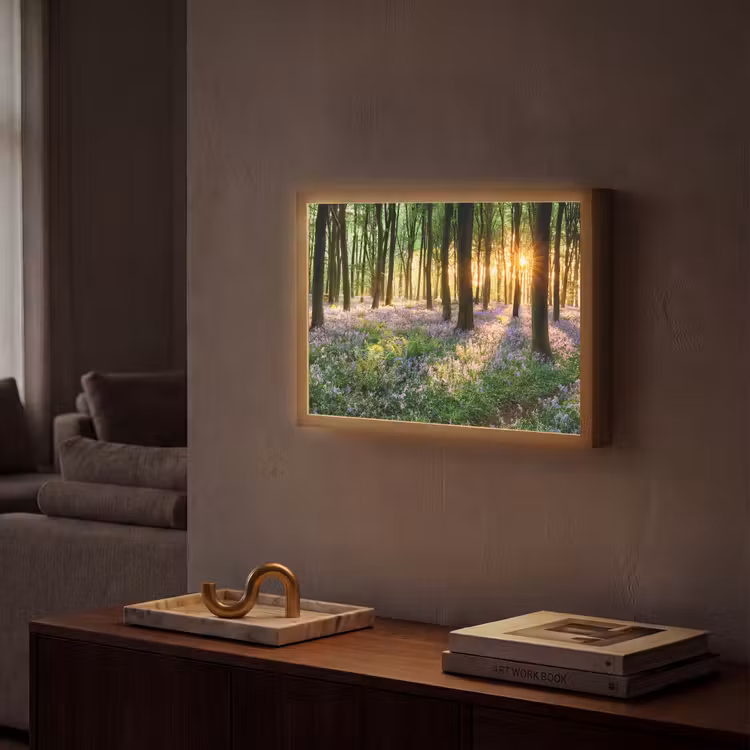 Lightbox - Wandlamp - Bos - Bloemen - Lavendel - Zon - Paars - Natuur — 2