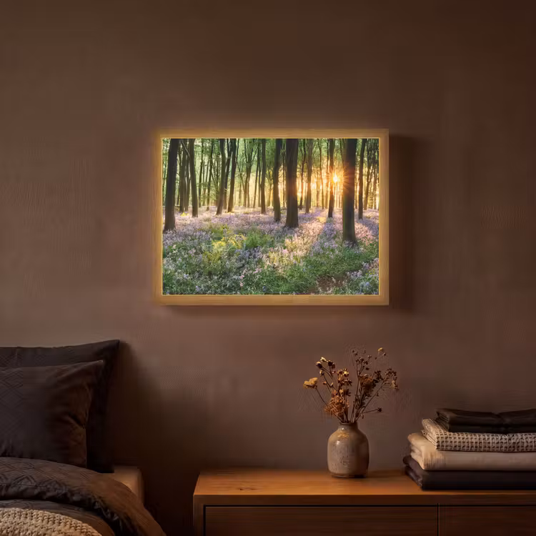 Lightbox - Wandlamp - Bos - Bloemen - Lavendel - Zon - Paars - Natuur — 3