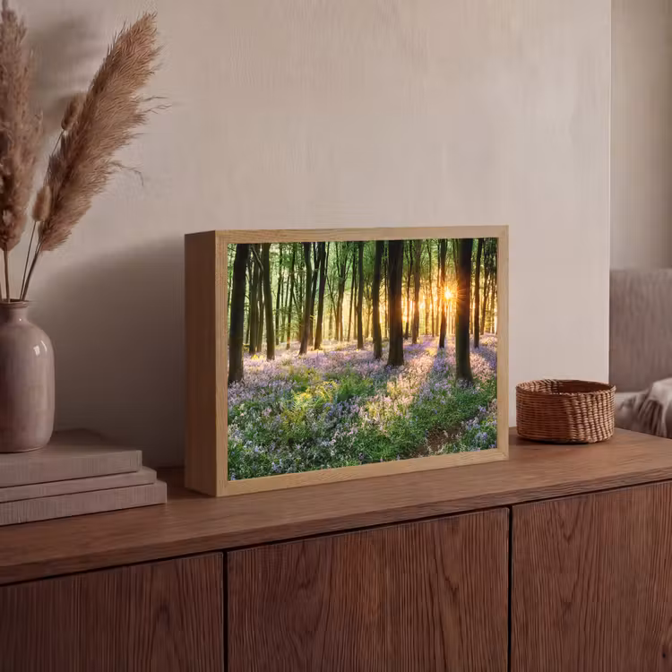 Lightbox - Wandlamp - Bos - Bloemen - Lavendel - Zon - Paars - Natuur — 4