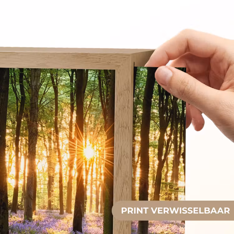 Lightbox - Wandlamp - Bos - Bloemen - Lavendel - Zon - Paars - Natuur — 5