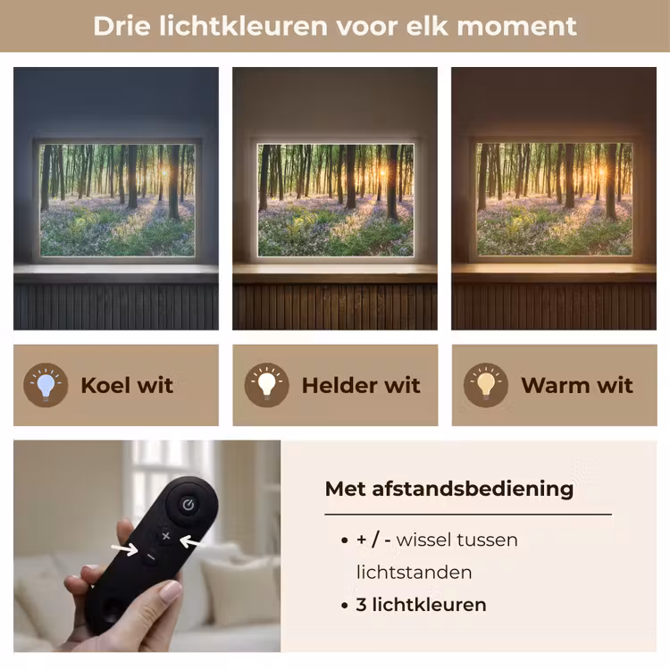 Lightbox - Wandlamp - Bos - Bloemen - Lavendel - Zon - Paars - Natuur — 8