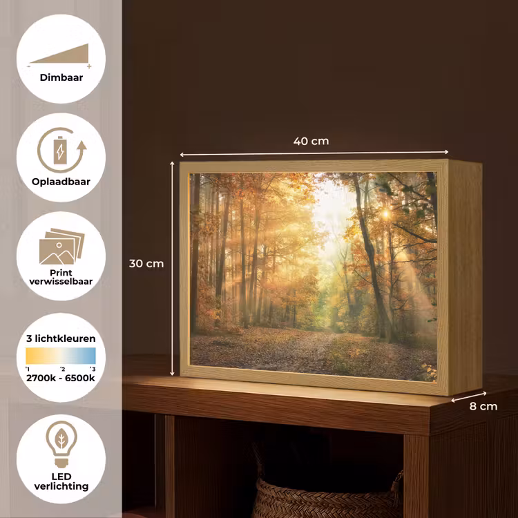Lightbox - Wandlamp - Bos - Herfst - Zon - Landschap - Natuur - Bomen - Bladeren — 10