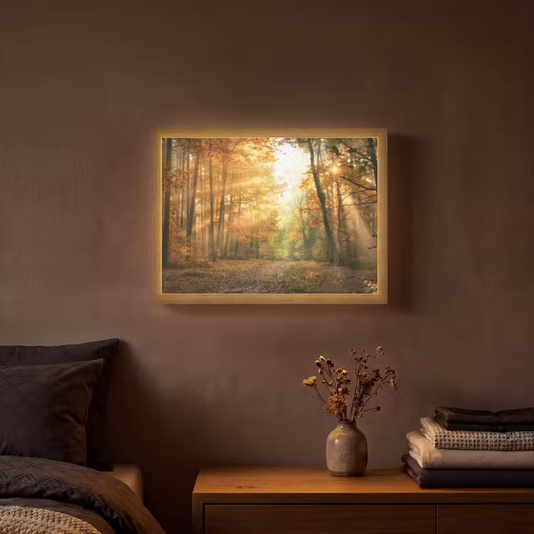 Lightbox - Wandlamp - Bos - Herfst - Zon - Landschap - Natuur - Bomen - Bladeren — 3