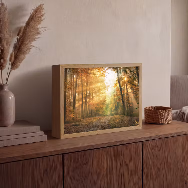 Lightbox - Wandlamp - Bos - Herfst - Zon - Landschap - Natuur - Bomen - Bladeren — 4