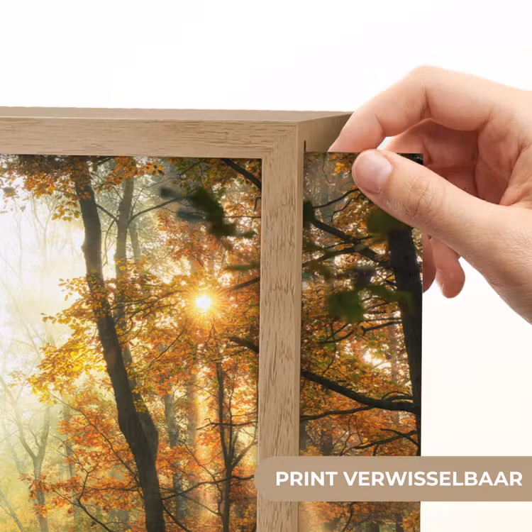 Lightbox - Wandlamp - Bos - Herfst - Zon - Landschap - Natuur - Bomen - Bladeren — 5