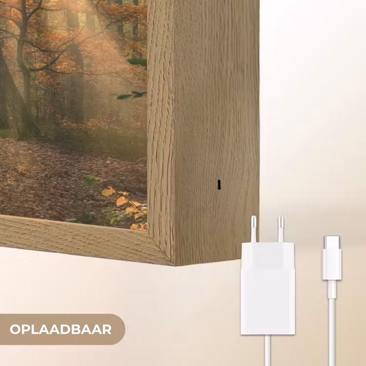 Lightbox - Wandlamp - Bos - Herfst - Zon - Landschap - Natuur - Bomen - Bladeren — 7