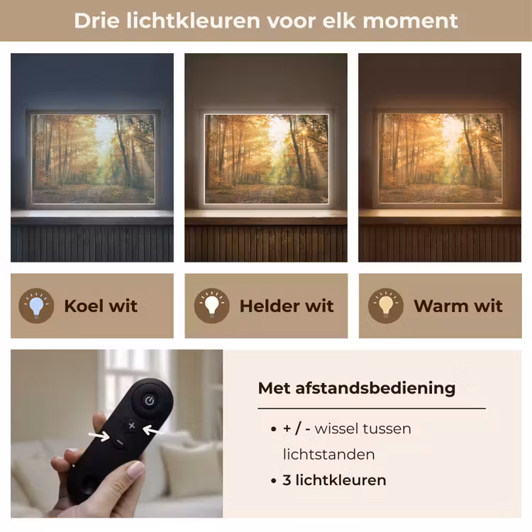 Lightbox - Wandlamp - Bos - Herfst - Zon - Landschap - Natuur - Bomen - Bladeren — 8