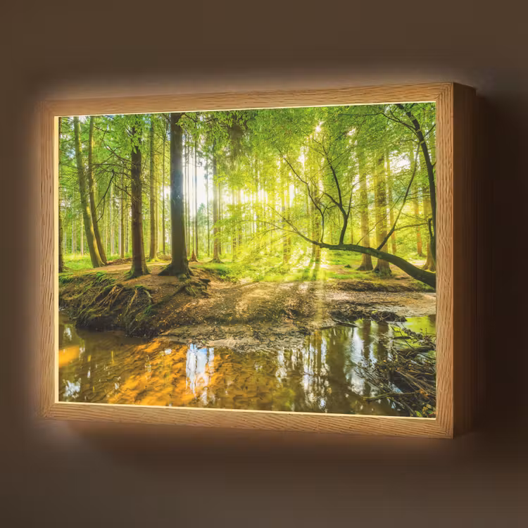 Lightbox - Wandlamp - Bos - Landschap - Water - Bomen - Zon - Groen - Natuur — 1