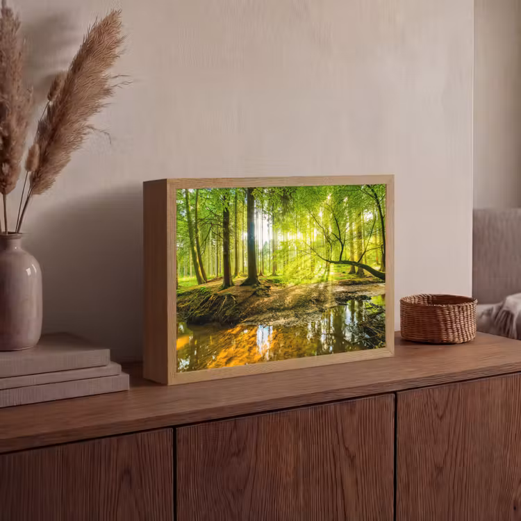 Lightbox - Wandlamp - Bos - Landschap - Water - Bomen - Zon - Groen - Natuur — 4