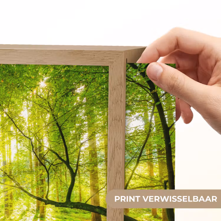 Lightbox - Wandlamp - Bos - Landschap - Water - Bomen - Zon - Groen - Natuur — 5