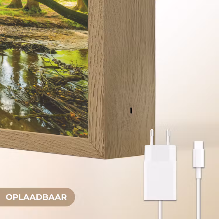 Lightbox - Wandlamp - Bos - Landschap - Water - Bomen - Zon - Groen - Natuur — 7