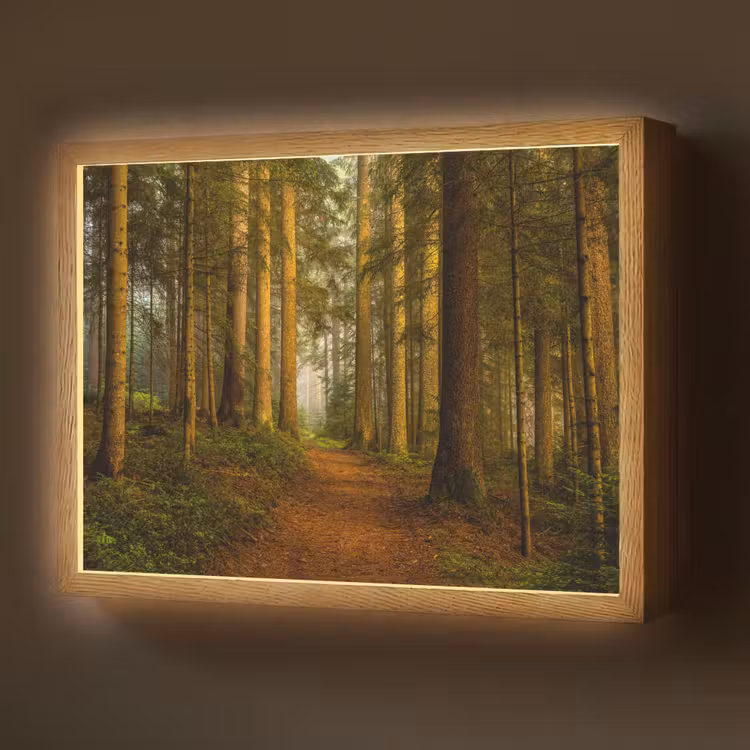 Lightbox - Wandlamp - Bos - Natuur - Bomen - Landschap - Bladeren — 1