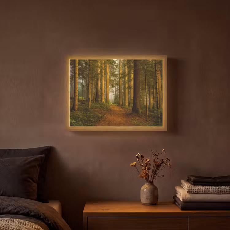 Lightbox - Wandlamp - Bos - Natuur - Bomen - Landschap - Bladeren — 3