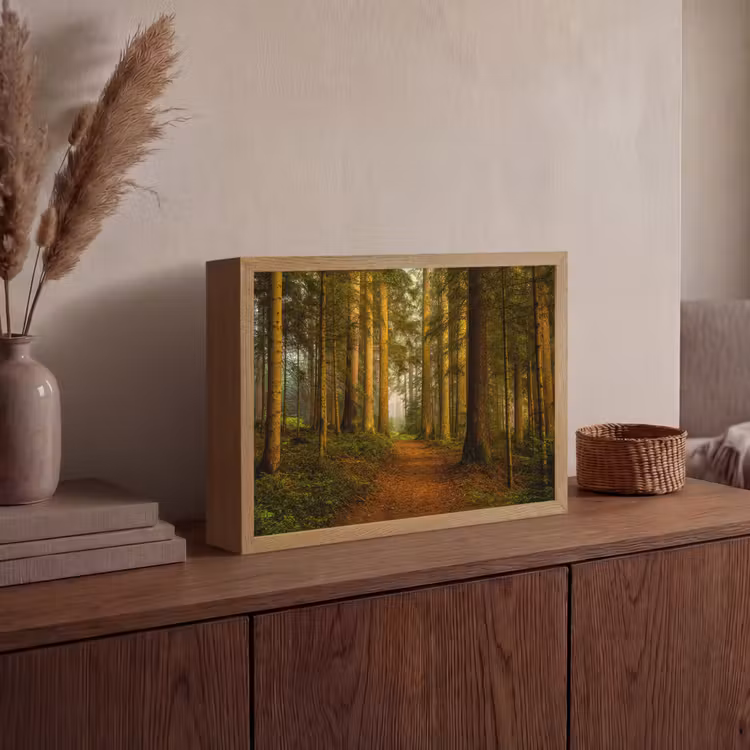 Lightbox - Wandlamp - Bos - Natuur - Bomen - Landschap - Bladeren — 4