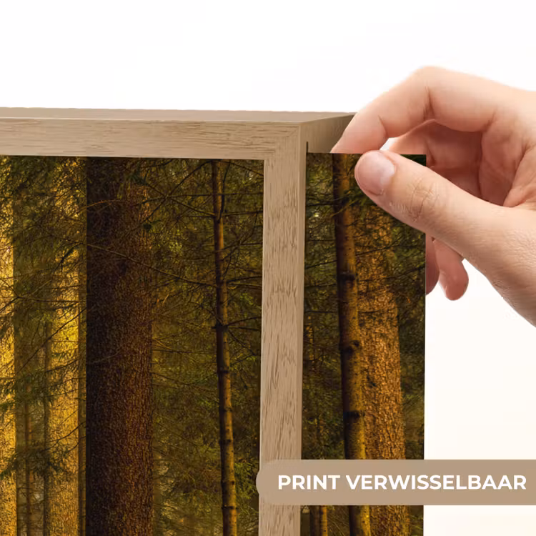 Lightbox - Wandlamp - Bos - Natuur - Bomen - Landschap - Bladeren — 5