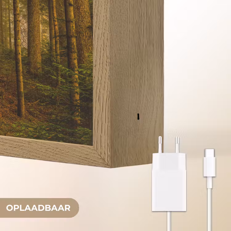 Lightbox - Wandlamp - Bos - Natuur - Bomen - Landschap - Bladeren — 7
