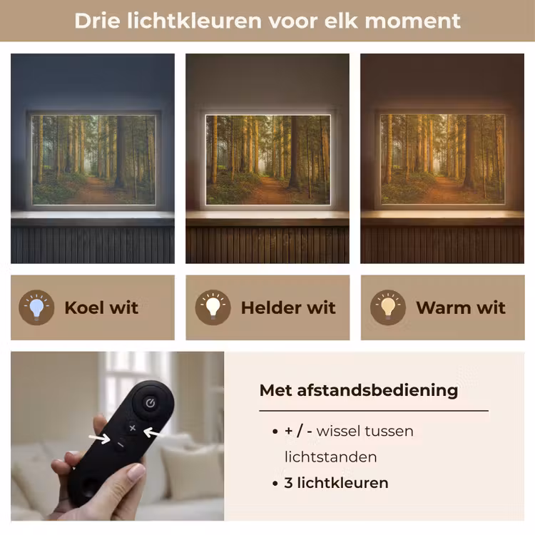 Lightbox - Wandlamp - Bos - Natuur - Bomen - Landschap - Bladeren — 8