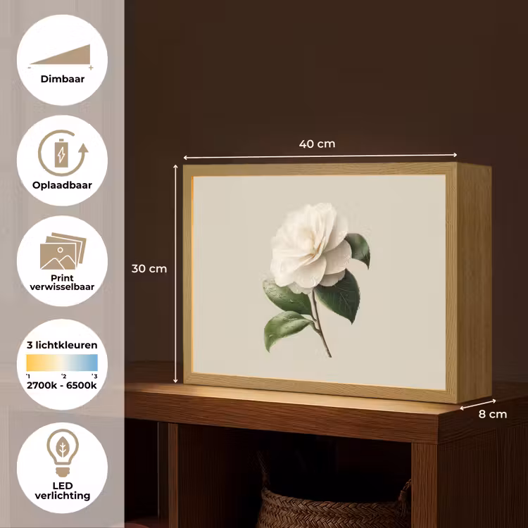 Lightbox - Wandlamp - Cameliabloem - Wit - Groen — 10