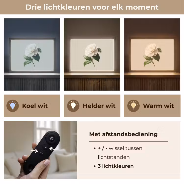 Lightbox - Wandlamp - Cameliabloem - Wit - Groen — 8