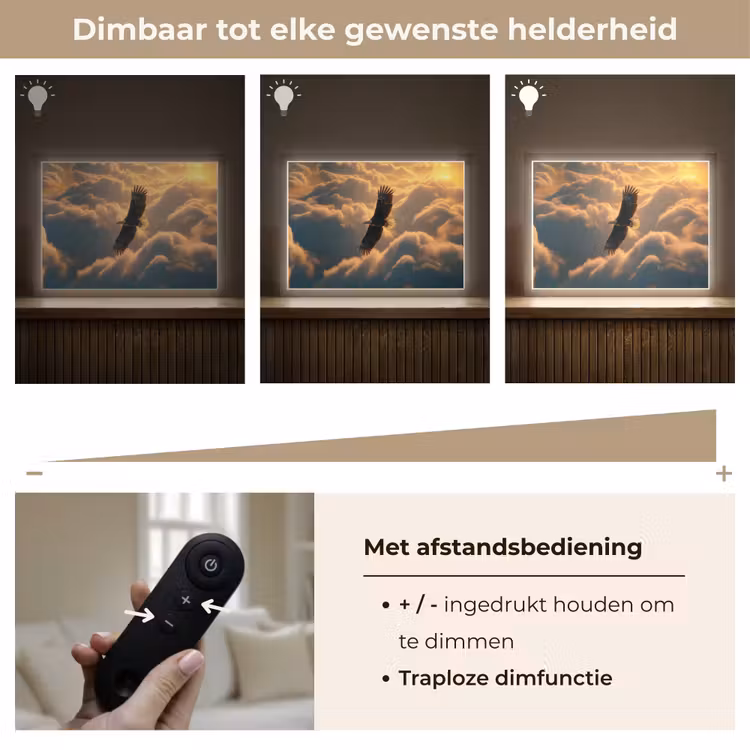 Lightbox - Wandlamp - Adelaar - Wolken - Zon — 9