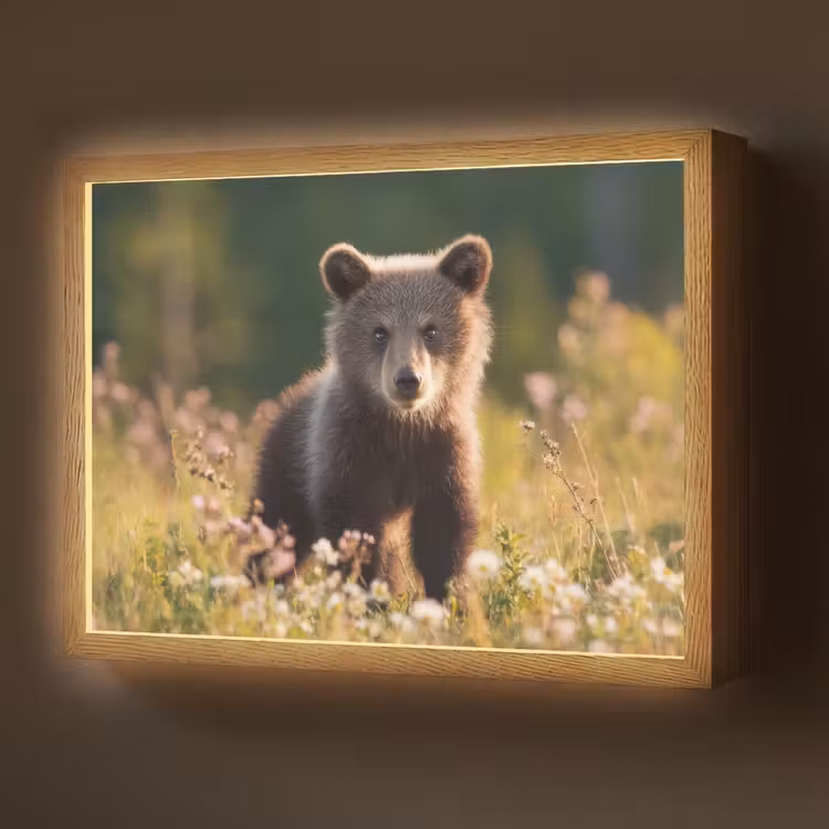 Lightbox - Wandlamp - Beer - Bloemenveld - Gras — 1