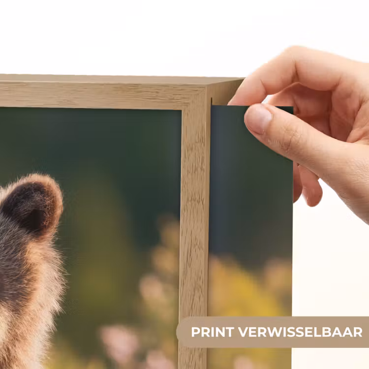 Lightbox - Wandlamp - Beer - Bloemenveld - Gras — 5