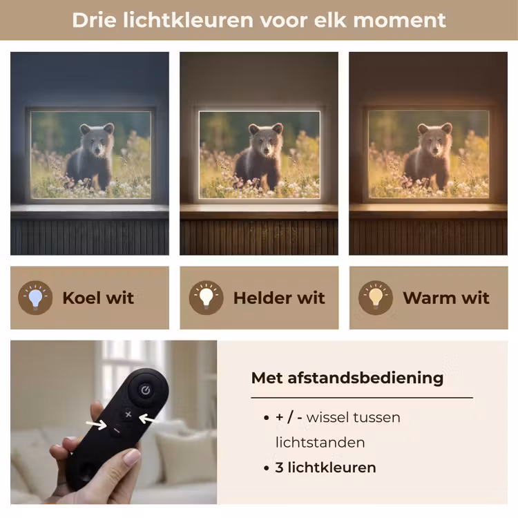 Lightbox - Wandlamp - Beer - Bloemenveld - Gras — 8