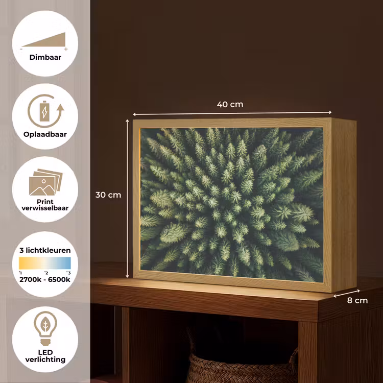 Lightbox - Wandlamp - Bomen - Naaldwoud - Structuur — 10