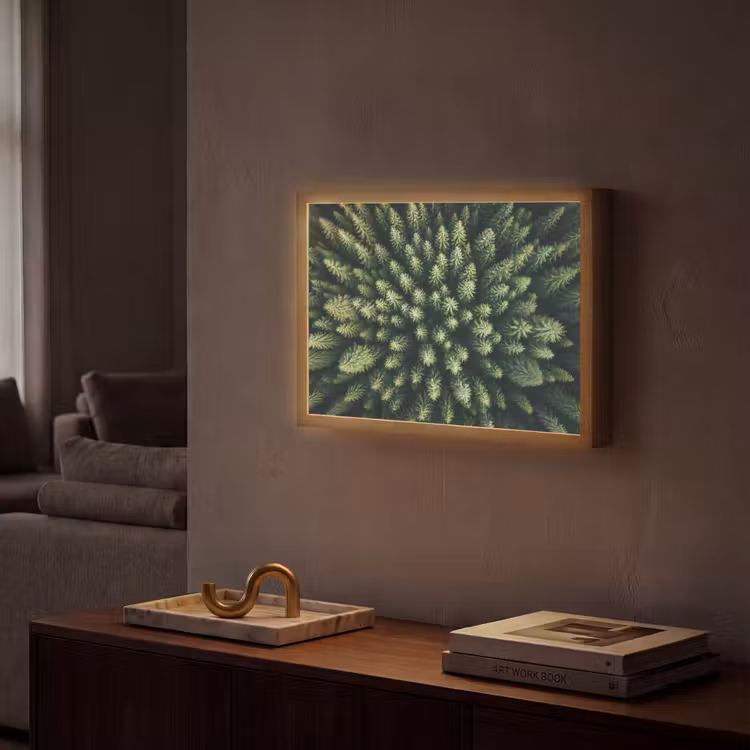 Lightbox - Wandlamp - Bomen - Naaldwoud - Structuur — 2