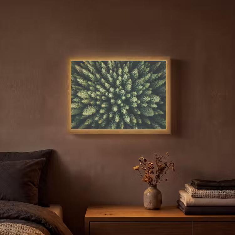 Lightbox - Wandlamp - Bomen - Naaldwoud - Structuur — 3