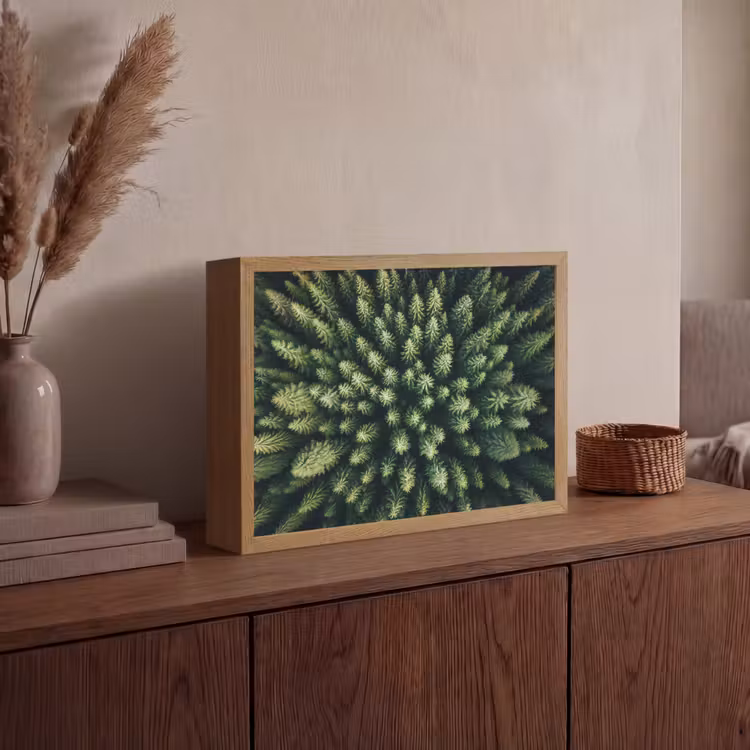 Lightbox - Wandlamp - Bomen - Naaldwoud - Structuur — 4