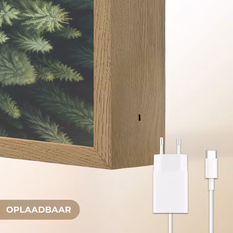 Lightbox - Wandlamp - Bomen - Naaldwoud - Structuur — 7